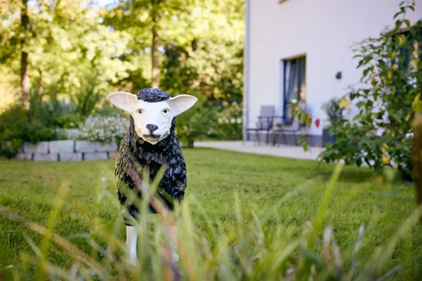 20230906_Seniorenheim_Sonneneck_0839